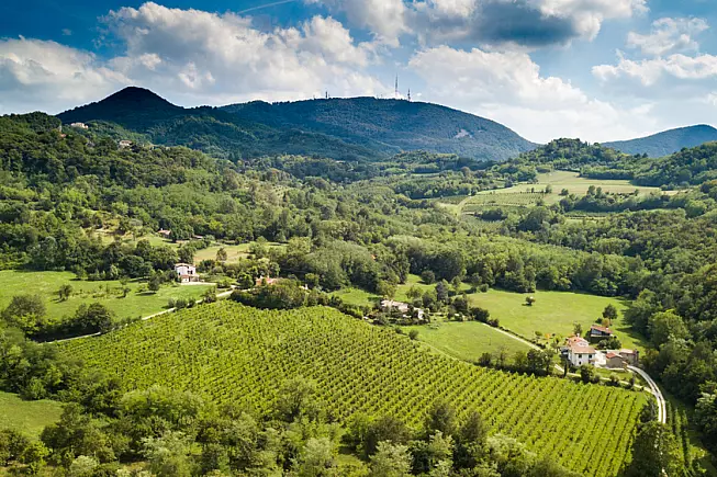 Colli Euganei
