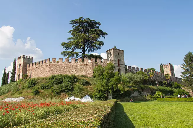 @DariaTrefilova/shutterstock.com solo per uso editoriale