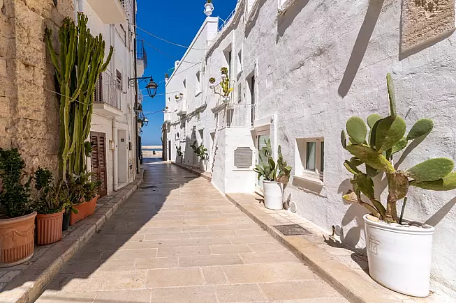 Monopoli, cosa vedere