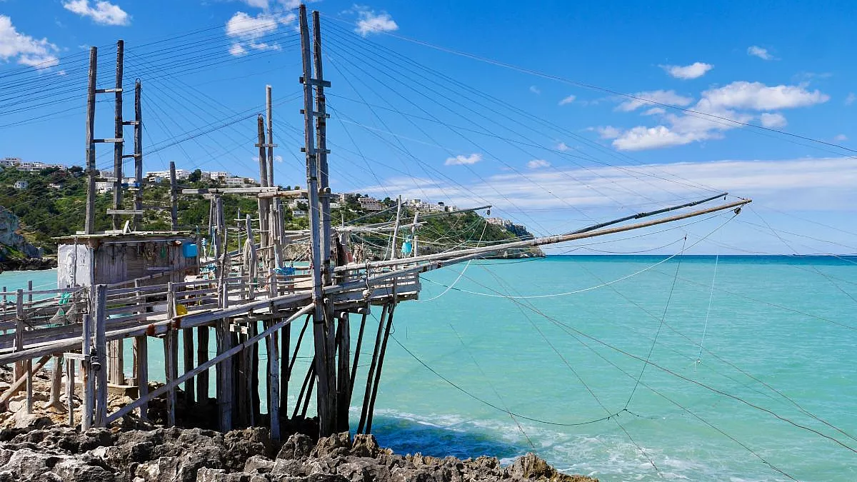 [foto copertina @Maleo Photography/Shutterstock.com/solo uso editoriale]