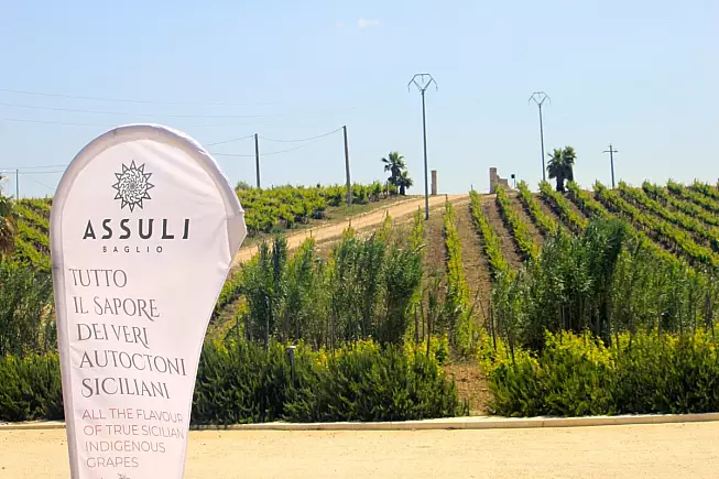 [Foto account Facebook Cantina Assuli @Assuli - Sicilian Native Wines/ Facebook]