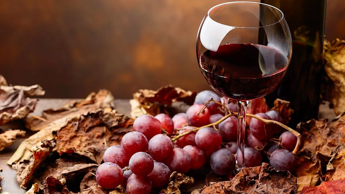 Barolo