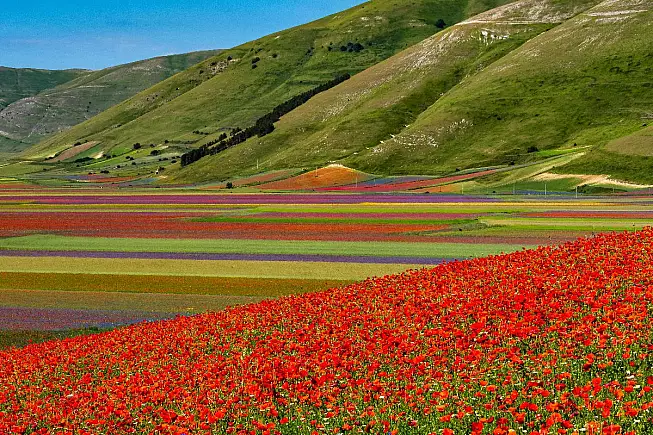 Castelluccio di Norcia