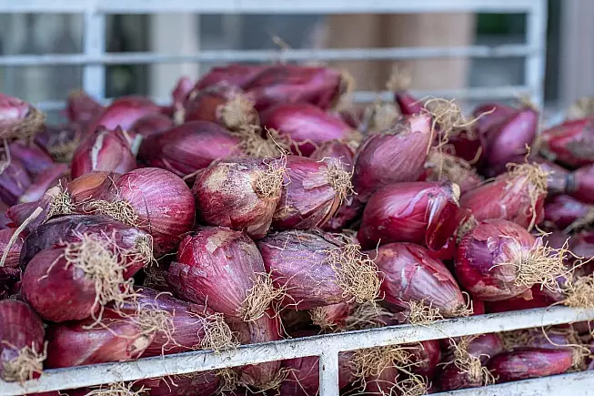Cipolla rossa di Tropea