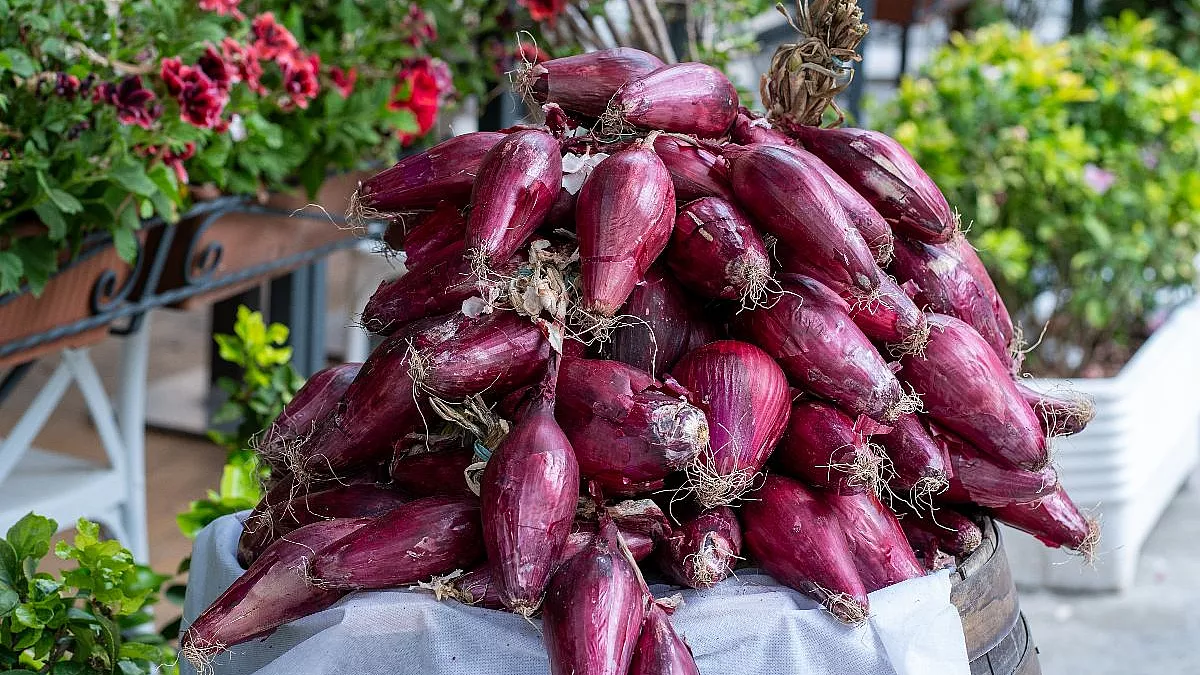 Cipolla rossa di Tropea
