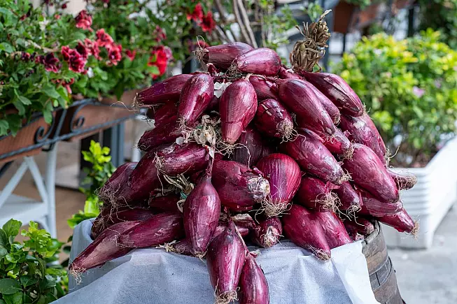 Cipolla rossa di Tropea
