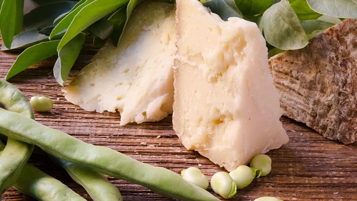 Fave e Pecorino