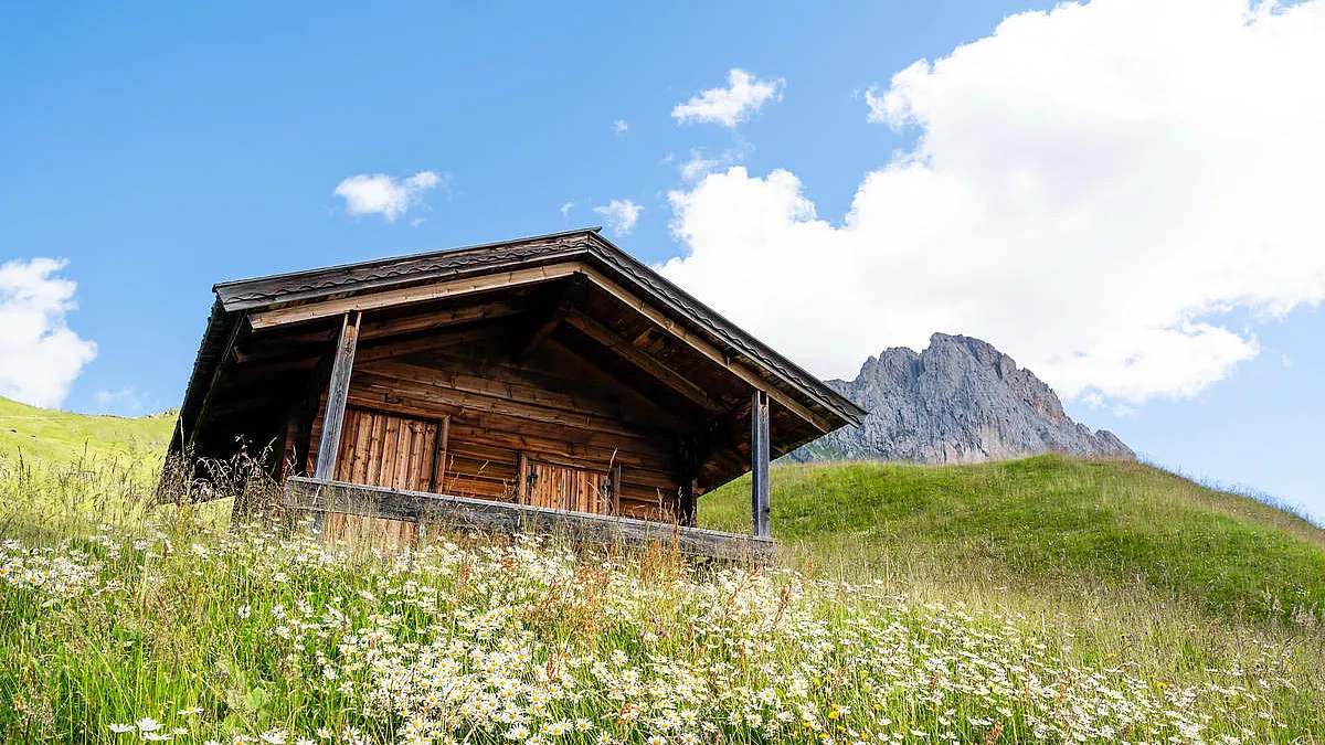 Malghe in fiore