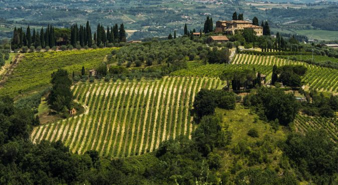 Strada del Vino Vernaccia di San Gimignano