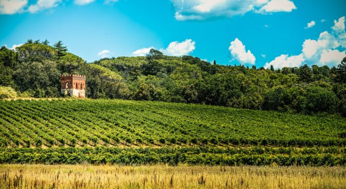 Strada del Vino delle Colline Pisane