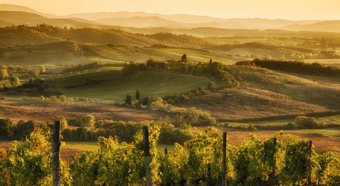 Strada del Vino e dell’Olio Chianti Classico