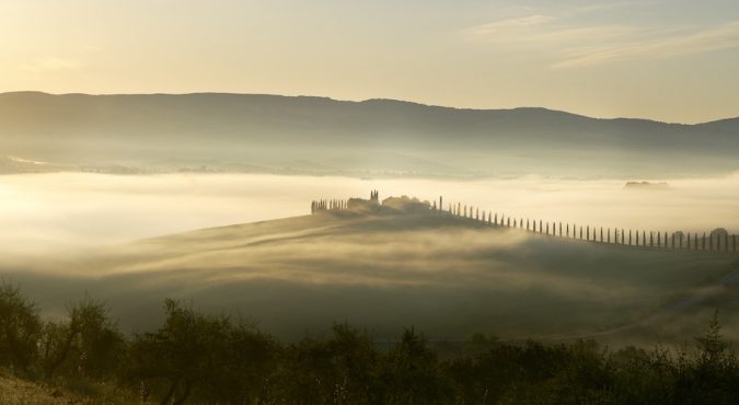 AETOS, alla scoperta dell’Olio extravergine d’oliva biologico della Toscana