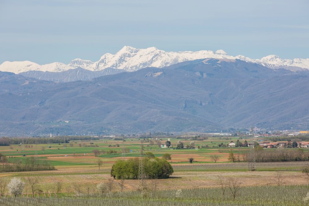 Vino Refosco in Friuli