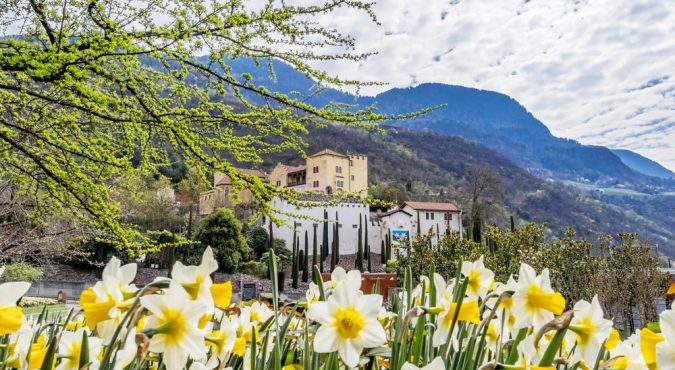 Visite guidate e pacchetti sensoriali altoatesini ai Giardini di Sissi