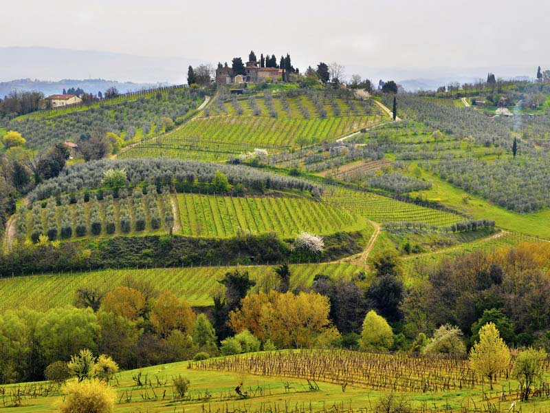 Cicloturismo Chianti