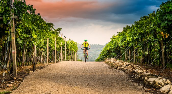 Cicloturismo tra i vigneti più belli d’Italia