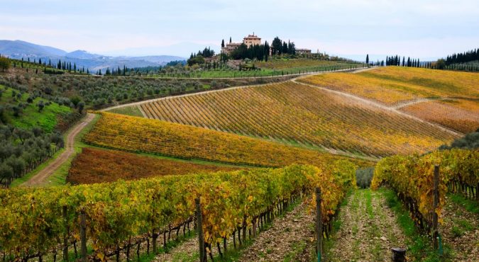 le strade del vino