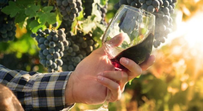 mercato dei vini di piacenza