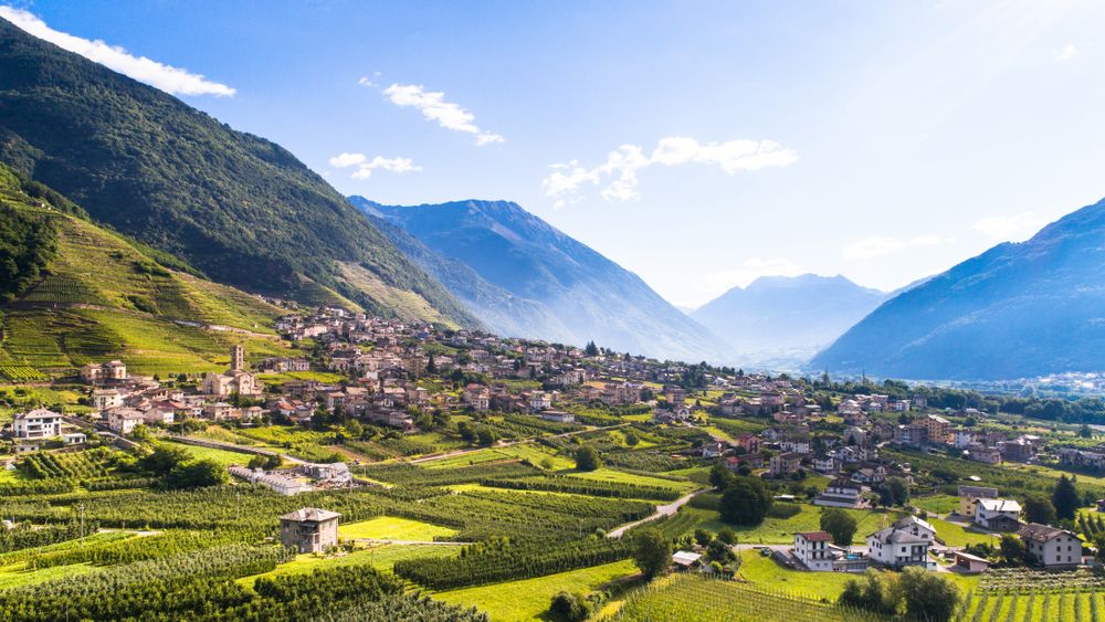 Bitto DOP - Valtellina