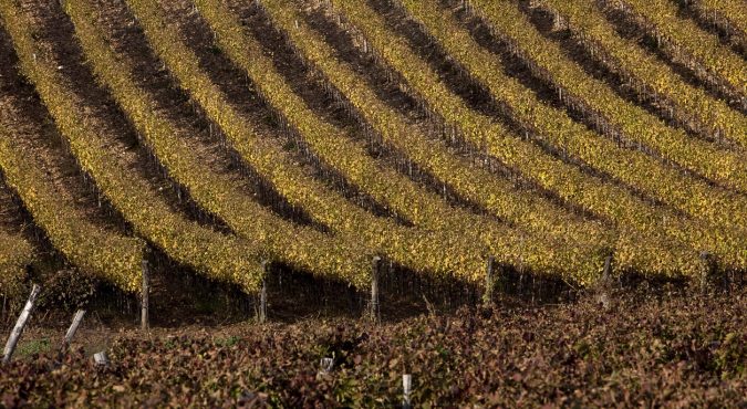 Aglianico del Vulture