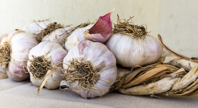 Aglio rosso di Sulmona