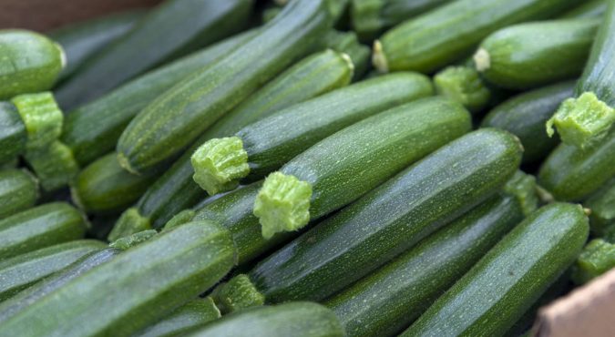Organic Zucchini, Vegetables at Farmer's Market: Healthy Eating Food Background