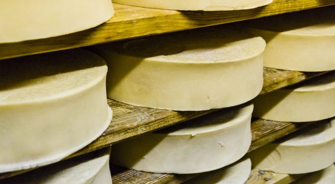 Fontina Cheese