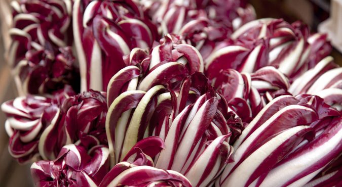 Radicchio