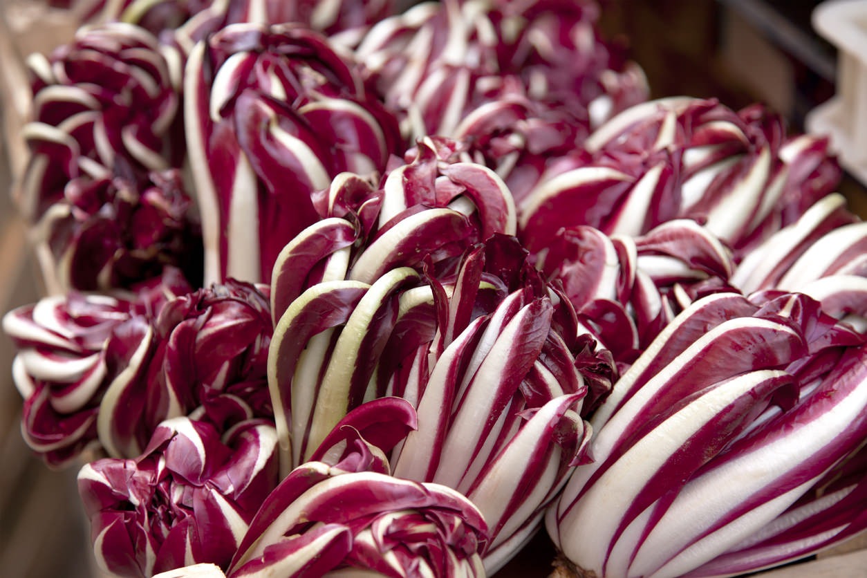 Radicchio di Treviso