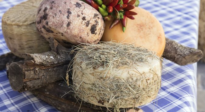 Pecorino