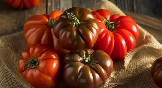 Pomodoro costoluto di Maratea