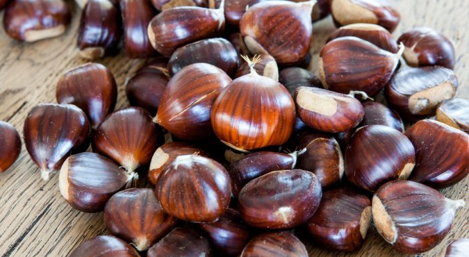chestnut