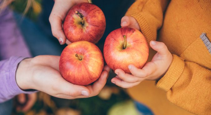 kids in an orchard holding red apples