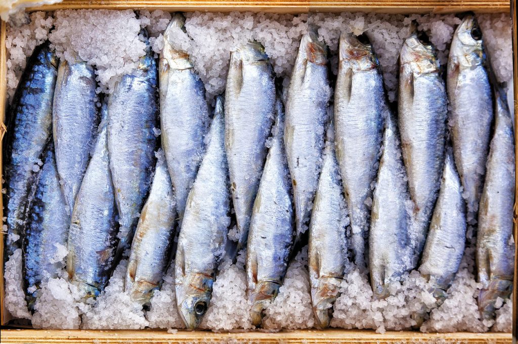 Sarde sotto sale Prodotto tipico di pesce Paesi del Gusto