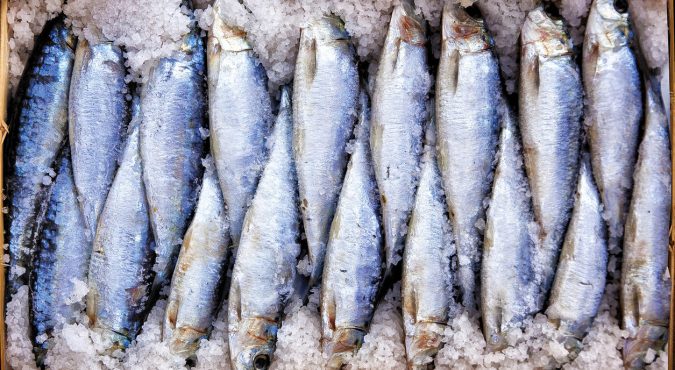 Sarde sotto sale