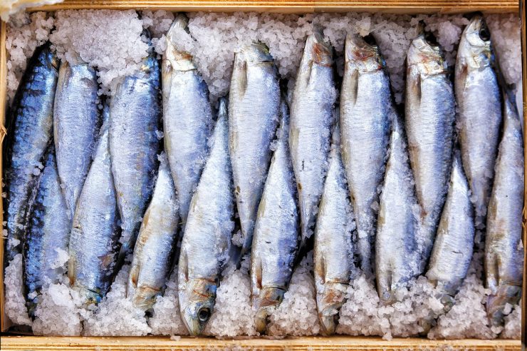 Sarde Sotto Sale Prodotto Tipico Di Pesce Paesi Del Gusto