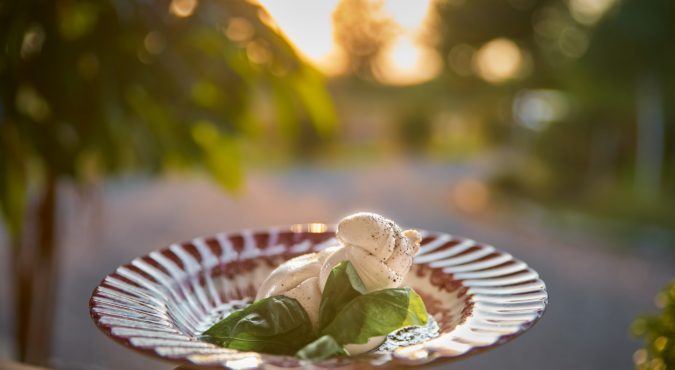 burrata, fresh italian cheese made from mozzarella and cream.