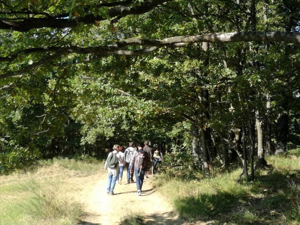 Bosco Tenuta Dal Verme ©Associazione Calyx