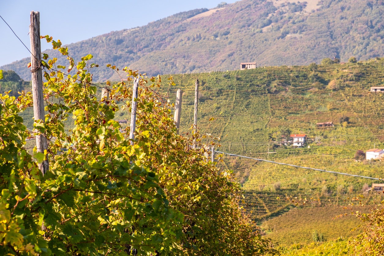 Valdobbiadene Superiore di Cartizze DOCG