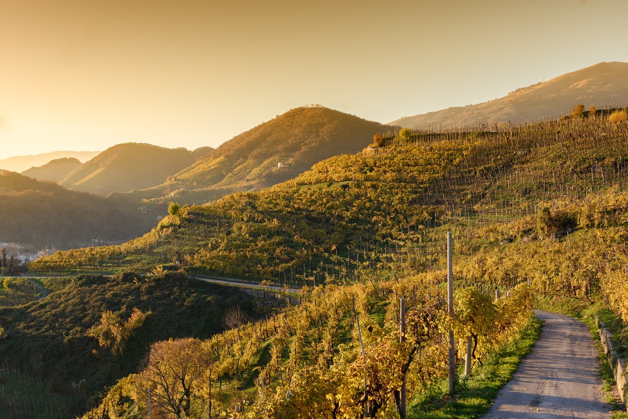 Conegliano Valdobbiadene Prosecco Superiore Rive DOCG