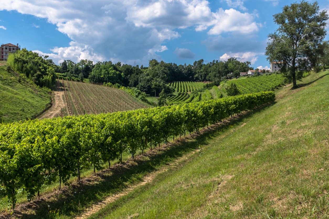 Primavera del Prosecco Superiore