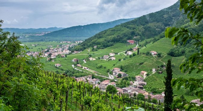 17° Mostra del Cartizze e del Valdobbiadene DOCG