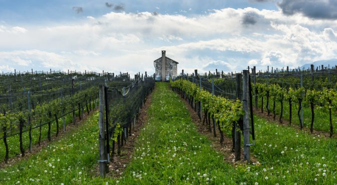 Valdobbiadene - prosecco a primavera