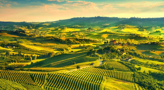Langhe vineyards sunset panorama, Grinzane Covour, Piedmont, Italy Europe.