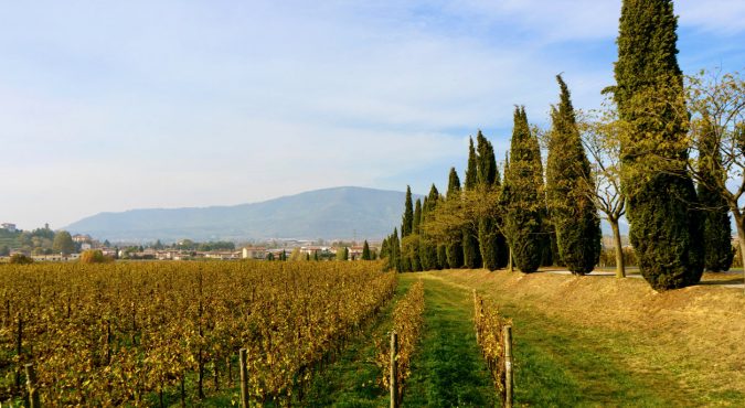Franciacorta, Lombardia