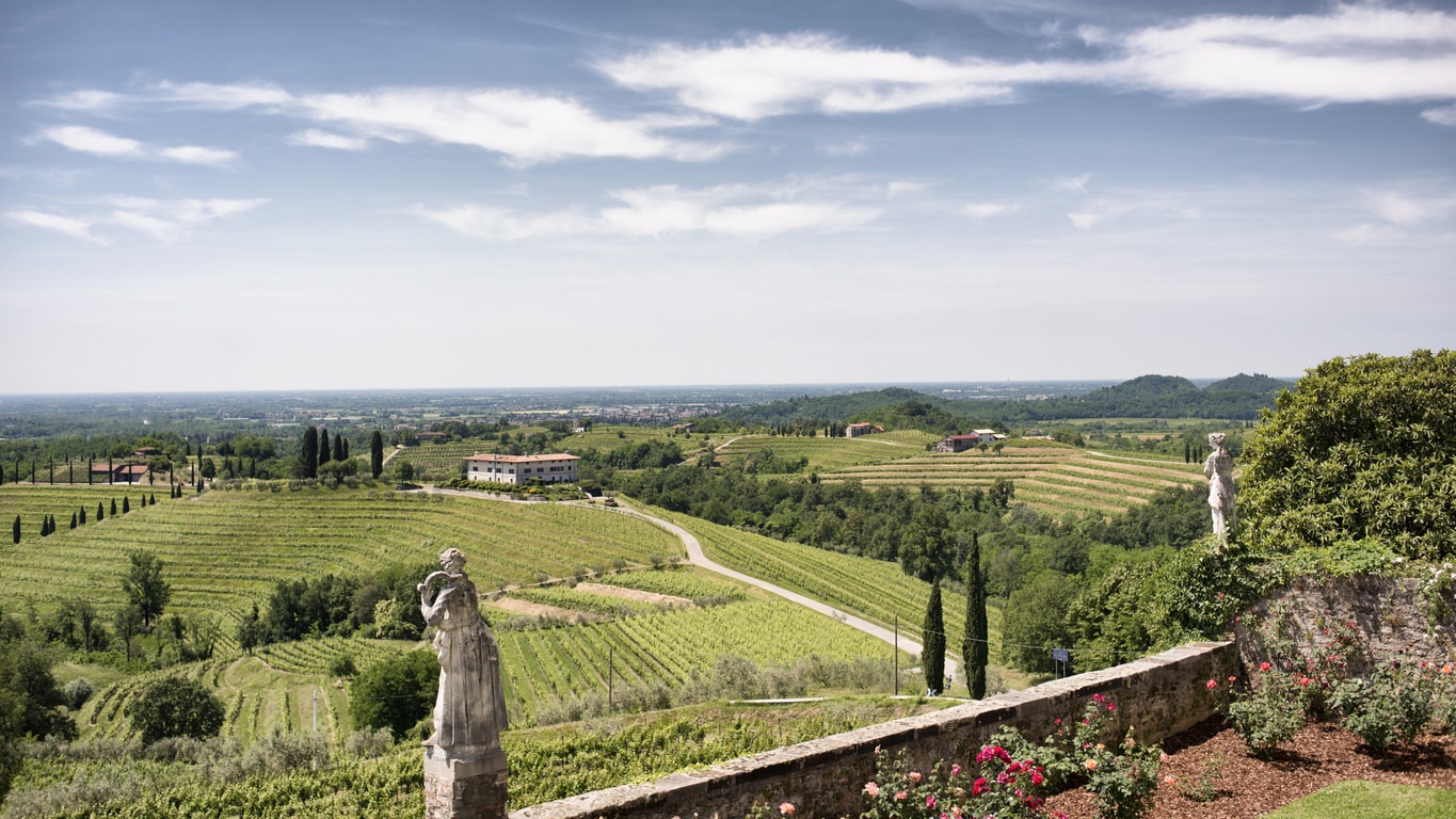 Colli Orientali del Friuli