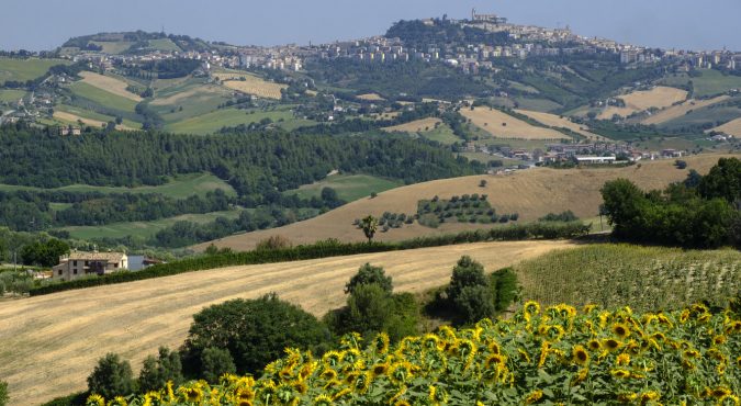 Summer landscape near Monterubbiano (Fermo, Marches)