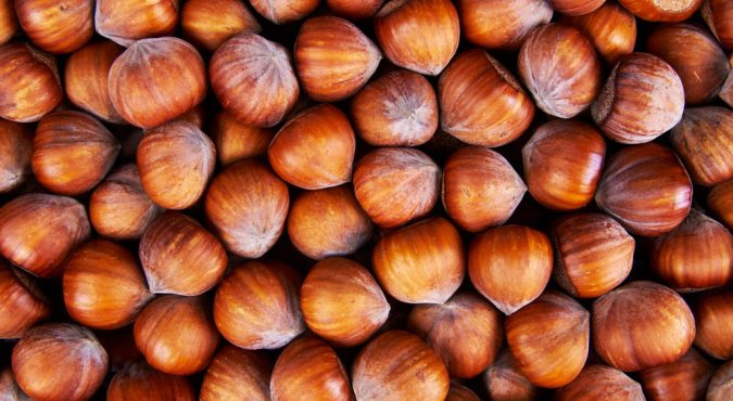 Noccioladay. Bologna, 7-8 dicembre 2019
