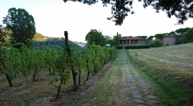 Casola,Valsenio,,Ravenna,,Emilia,Romagna,/,Italy,-,August,26
