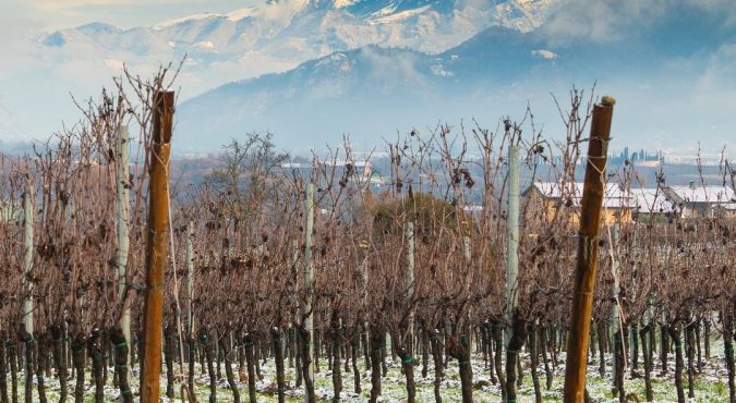 Itinerari Franciacorta, mappe e cartine per le vie del vino